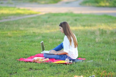 parkta oturan ve kulaklık ile bir dizüstü bilgisayar üzerinden Skype'takonuşurken Bayan