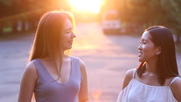 Joven europea rubia chica hermosa hembra y asiático retrato en el sol — Vídeo de stock