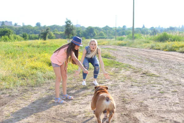 Lány nő játszik a barátja amerikai Bulldog futás — Stock Fotó