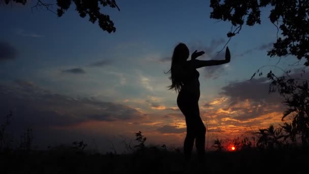 Silhouette femminile ragazza Yoga sfondo del tramonto Sky Pose — Video Stock