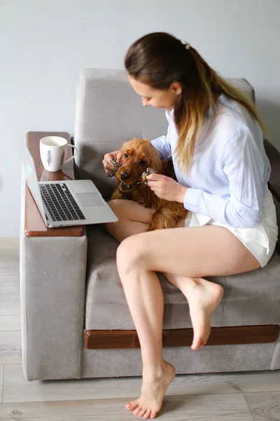 Joven freelancer trabajando en laptop y jugando con spaniel dog en casa. — Foto de Stock