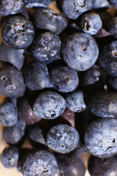 Freshly picked blueberries close up Foco seletivo — Fotografia de Stock