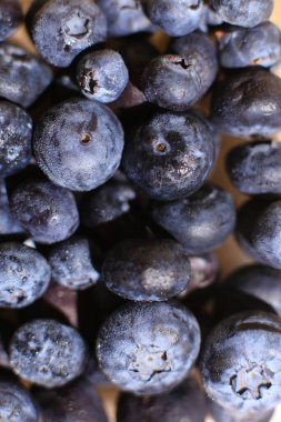 Taze toplanmış yaban mersinleri yakın plan