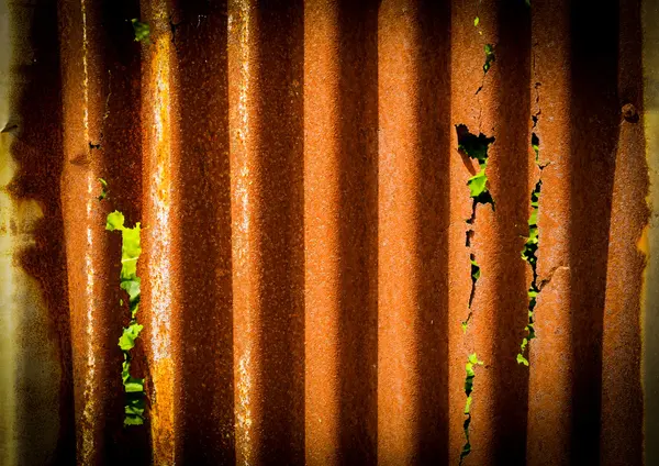 Old rusty of zinc sheet  fence is grunge  background. — Stock Photo, Image
