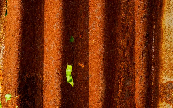 Старый ржавый забор из цинкового листа на фоне гранжа . — стоковое фото
