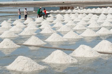 Samutsongkhram Tayland - 22 Temmuz 2016: Tayland beyaz tuz alanları.