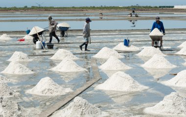 Samutsongkram Tayland - 22 Temmuz 2016: tuz alanlarında çalışma Labors.