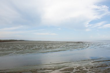 Çamur kıyı deniz manzarası ıslak toprak.