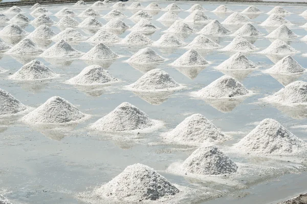 Salt vit fält i Thailand. — Stockfoto
