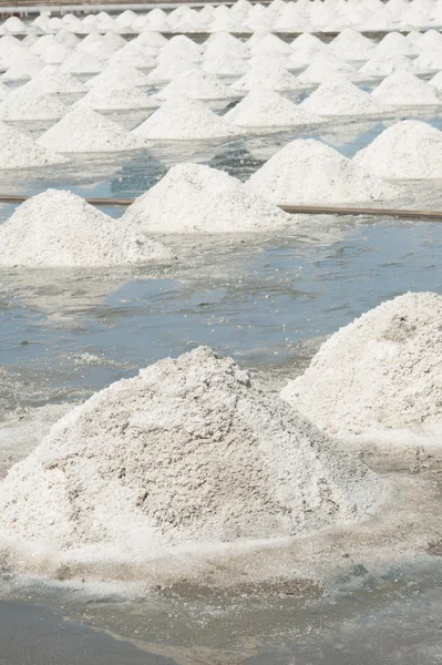 Campos de sal blanca en Tailandia . —  Fotos de Stock