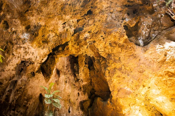 美しい石は、光の上のを洞窟します。. — ストック写真