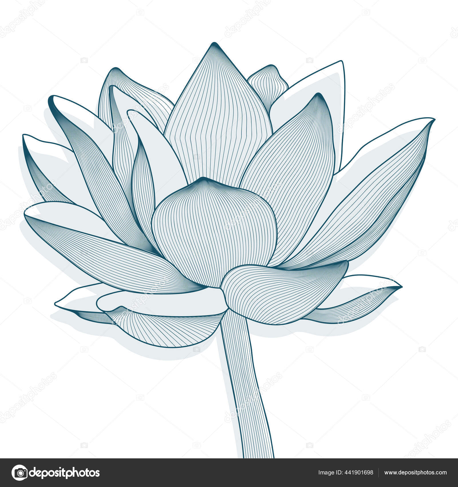 연꽃 모양의 선형 벡터 장식 패턴. 그래픽 스톡 벡터 - ©plyasova-s@mail.ru 441901698, image size:1600x1700