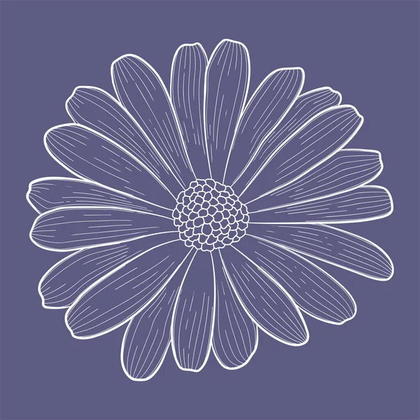 ベクトル皮質装飾花。暗紫色の背景の光の要素 — ストックベクタ