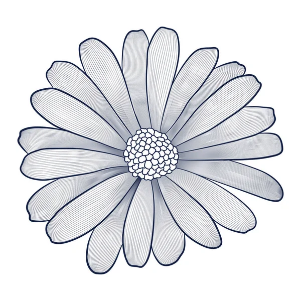 ベクトル輪郭装飾花。白い背景の青い要素 — ストックベクタ