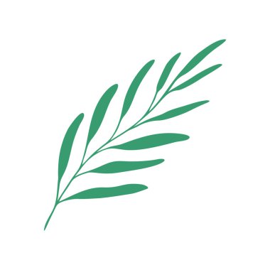 Beyaz bir arka planda Sprig. Karalama. Yapraklı izole vektör çizimi. Yapraklar ayrı bir unsurdur. El çizimi.