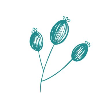 Zarif yeşil dal. Birleşme ayrılır. Vektör izole eleman. Bahçe bitkisi Yaz ya da bahar tasarımı