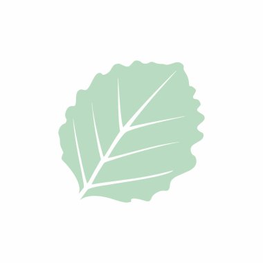 Graceful green leaves. Flat twig. Vector isolated element. Garden plant. Icon