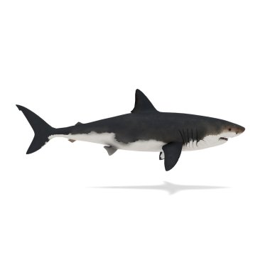 Side view of shark isolated on white 3d rendering clipart