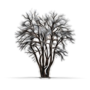 Sketch of winter tree without leaves on white background clipart