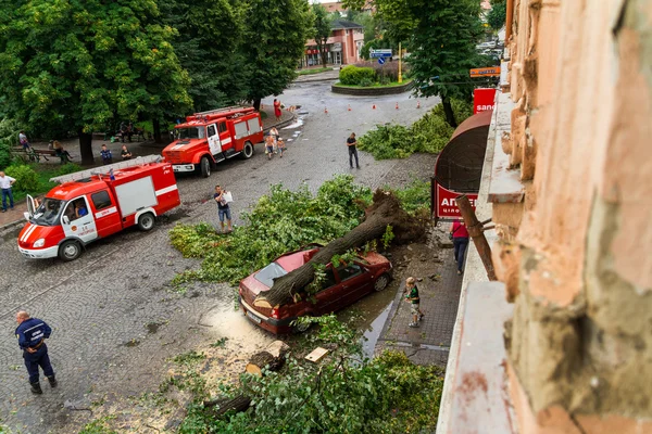 Наслідки урагану в Ужгороді — стокове фото