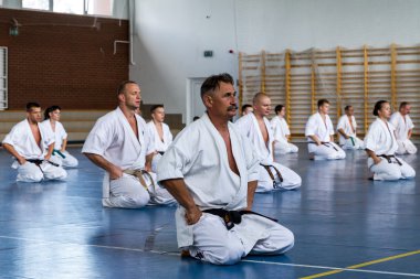 Uluslararası yaz kyokushinkai karate eğitim kampı Macaristan