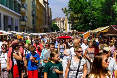 Budapeşte'de Aziz Stephen günü kutluyor