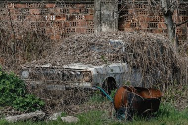 Terk edilmiş eski araba GAZ 24 eski bir tuğla çitin yanında yabani otlarla kaplanmış..