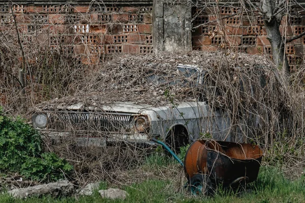 Opuszczony Samochód Retro Gaz Porośnięty Chwastami Pobliżu Starego Murowanego Ogrodzenia — Zdjęcie stockowe