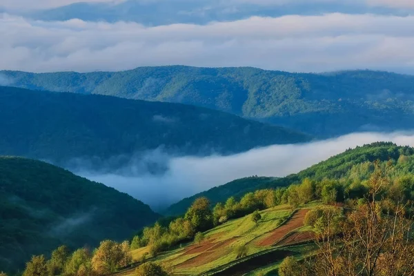 Meraviglioso Paesaggio Estivo Della Campagna Carpatica Con Nebbia Mattutina Tra — Foto Stock