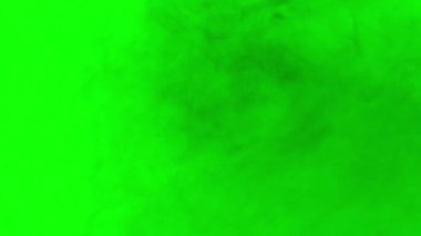 Gerçekçi Yükselen Sis Duman Bulutu Canlandırması yeşil ekranda izole edildi, üst üste katman, vfx bileşimi için mükemmel, yeşil arkaplanı kaldırmak için krom anahtarı kullanın