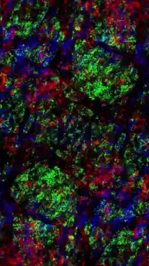 rgb colorful glitch effect animation for debug error concept, bad signals, screen damage, overlay fit for texture, noise, and scratches