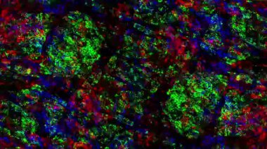 rgb colorful glitch effect overlay for debug error concept, screen damage, animation texture, noise, and scratches