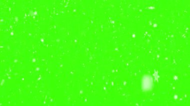 kar yağışı animasyonu yeşil ekranda izole edildi.