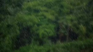 Yağmur güzel doğa manzarası, çiseleyen yağmur, yağış manzarası, yağmurlu gün etkisi