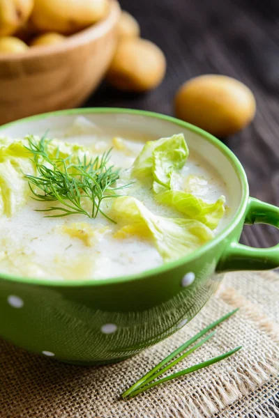 Sopa de lechuga refrescante —  Fotos de Stock