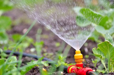 Güneş ışığı ile bahçede sulama tesisi.