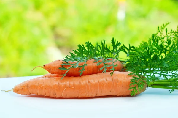 Сырая морковь с зелеными верхушками — стоковое фото