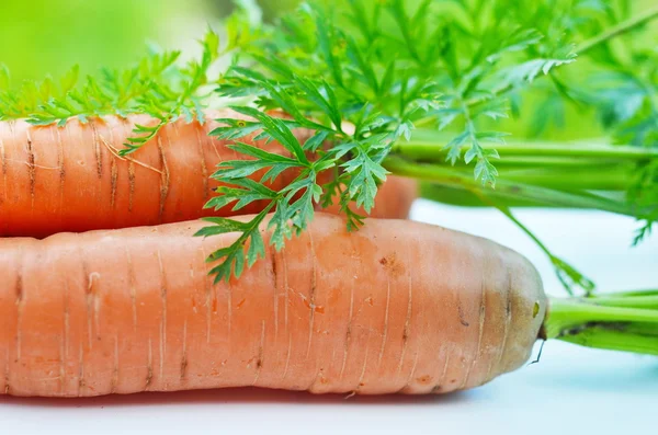 Zanahorias crudas con tapas verdes —  Fotos de Stock