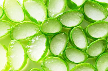 Aloe vera üst görünüm dokusu arkaplanını dilimler. - Görüntü