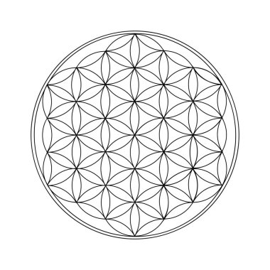 Hayat Çiçeği Siyah Çizgi. Kutsal geometri. - Vektör illüstrasyonu