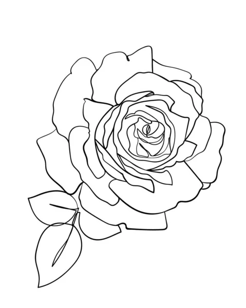 Значок Квітки Троянди Малюнок Лінії Векторні Ілюстрації — стоковий вектор