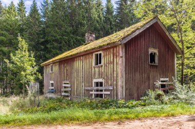 İsveçli woodland atık çiftlik evi