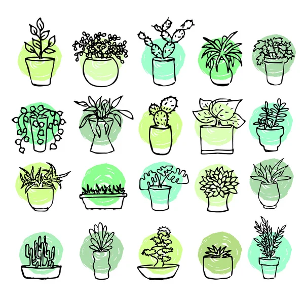 Dessiner des plantes maison. Plantes vertes dans des seaux. Collecte végétale . — Image vectorielle