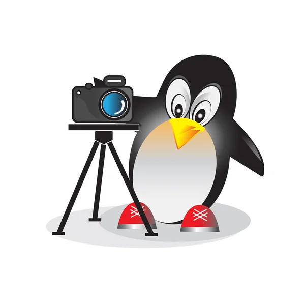 Ilustración de pingüino con cámara fotográfica . — Vector de stock