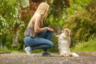 Genç bir kadın, güneşli bir bahar bahçesinde uzun saçlı Chihuahua 'sıyla dışarıda oturuyor.