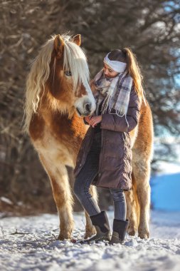Karlı kış manzarasında Haflinger atıyla yürüyen genç bir kadın, insan ve hayvan arasında nazik bir bağ.