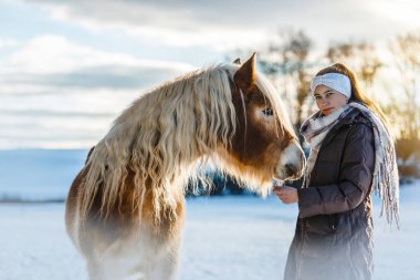 Karlı kış manzarasında Haflinger atıyla yürüyen genç bir kadın, insan ve hayvan arasında nazik bir bağ.