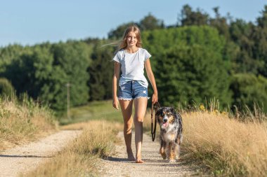 Gülümseyen Avustralya çoban köpeği güneşli bir tarlada genç bir kızın yanında oturuyor. Rahatlamış açık hava portresi, insan ve hayvan arasındaki dostluk, sıcaklık ve doğal bağlantıyı yakalar..