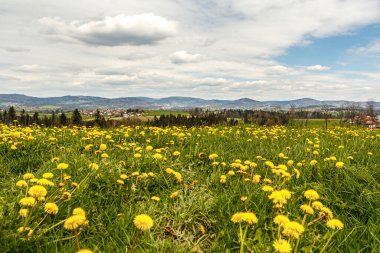 Bavyera 'nın Passau ilçesindeki Kellberg' den Thyrnau manzarası