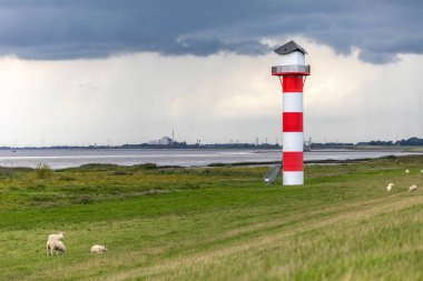 Almanya 'nın kuzeyinde, Glckstadt yakınlarındaki hendekte otlayan koyunlar, kırmızı ve beyaz deniz feneri ve fırtınalı gökyüzü